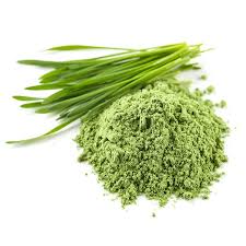 Ayurveda Zdes, Порошок травипшениці, Врітікас, 100г., Wheat Grass Juice Powder vritikas, відновить сили, відновить організм, Аюрведа Здесь Ayurveda Zdes, Порошок травипшениці, Врітікас, 100г., Wheat Grass Juice Powder vritikas, відновить сили, відновить організм, Аюрведа Здесь