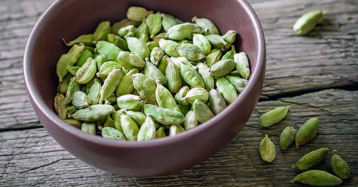 Ayurveda Zdes, Розчинний чай Кардамон Гірнар, Girnar Cardamom Chai 14г, Аюрведа Здесь Ayurveda Zdes, Розчинний чай Кардамон Гірнар, Girnar Cardamom Chai 14г, Аюрведа Здесь
